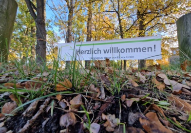 Horizonte erweitern: Ein Abend voller Einblicke in die Bildungswelten der Aurelia-Wald-Gesamtschule und des Gymnasiums Unter den Eichen Uetze!