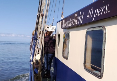 Segelfahrt mit dem Jahrgang 12 